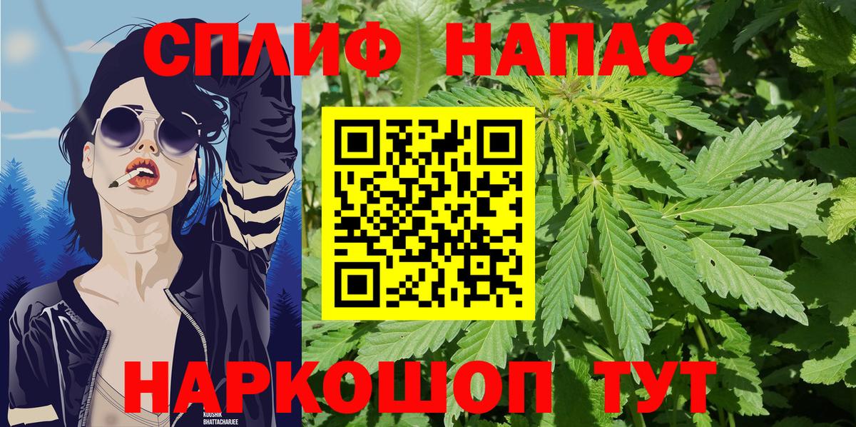 Бошки марихуана индика Волгоград